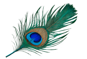Diamond_Lotus_Tantra_Institut_Pfauenfeder